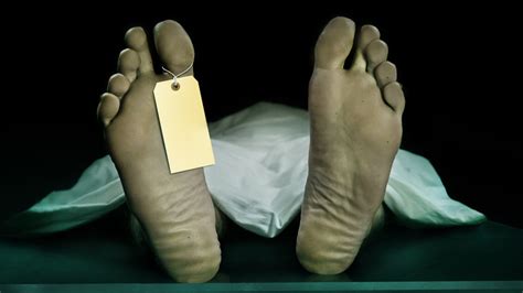 What Happens To Your Body After One Year In A Coffin